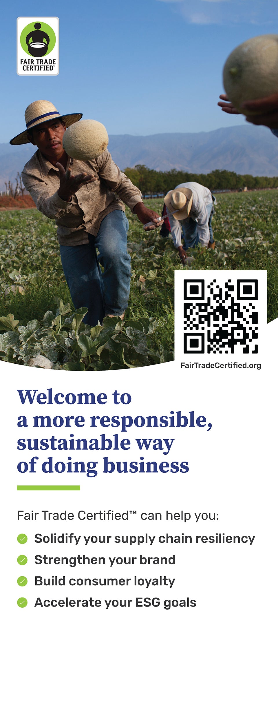 Produce Retractable Banner 1